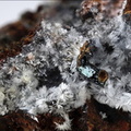 Aragonite - Les Rats - Le Crozet - Loire