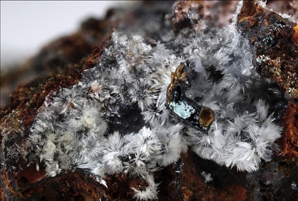 Aragonite - Les Rats - Le Crozet - Loire
