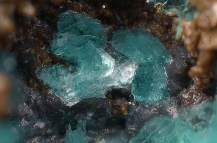 Chalcophyllite - Les Chaillats - Servant - Puy-de-Dôme