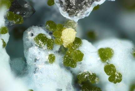 Bayldonite Chrysocolle - Longefay -  Poule les Echarmeaux - Rhône