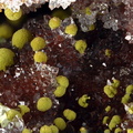 Duftite Quartz - Les Monterniers - Lantignié - Beaujeu - Rhône