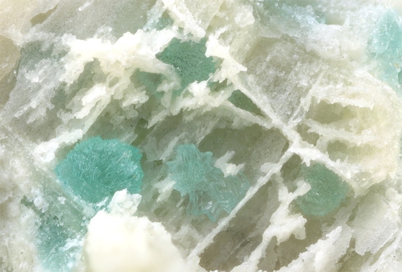 Turquoise -  Le Mazet - Échassières - Ebreuil -  Allier