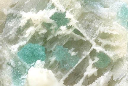 Turquoise -  Le Mazet - Échassières - Ebreuil -  Allier