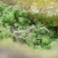 Iodargyrite Arsentsumebite - Les Montmins -  Echassières - Ebreuil - Allier 