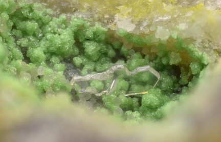 Iodargyrite Arsentsumebite - Les Montmins -  Echassières - Ebreuil - Allier 