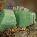 Metatorbernite - Les Montmins -  Echassières - Ebreuil - Allier 