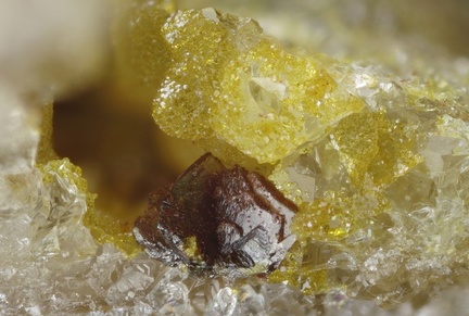 Raspite - Le Mazet - Echassières - Ebreuil - Allier