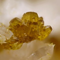 Kintoreite - Fumade - Castelnau de Brassac - Fontrieu - Castres - Tarn