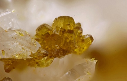 Kintoreite - Fumade - Castelnau de Brassac - Fontrieu - Castres - Tarn
