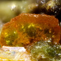 Stolzite -  Fumade - Castelnau de Brassac - Fontrieu - Castres - Tarn