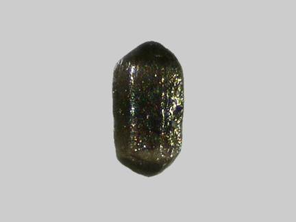 Apatite - La Loire - Gien - Loiret - FP - Taille 0,4mm