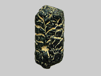 Augite - Le Sioulot - Olby - Puy-de-Dôme - FP - Taille 2mm