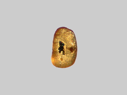Augite - Plage de la Pointe du Bile - Penestin - Morbihan - FP - Taille 0,4mm