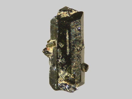 Augite - Ruisseau de Chareire - Picherande - Puy-de-Dôme - FP - Taille 1,9mm