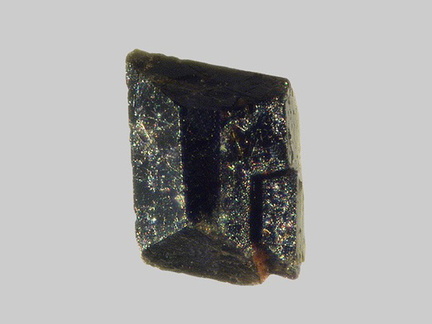 Augite - Ruisseau de Chevalard - Vernines - Puy-de-Dôme - FP - Taille 1mm