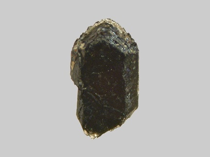 Augite aciculaire - La Trentaine - Picherande - Puy-de-Dôme - FP - Taille 0,9mm