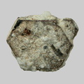 Biotite - La Trentaine - Picherande - Puy-de-Dôme - FP - Taille 2,8mm