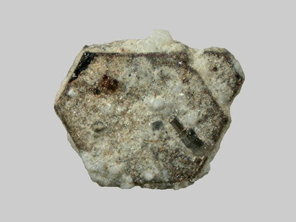 Biotite - La Trentaine - Picherande - Puy-de-Dôme - FP - Taille 2,8mm