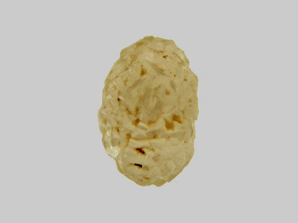 Calcite - Riou Pezzouliou - Espaly-Saint-Marcel - Haute-Loire - FP