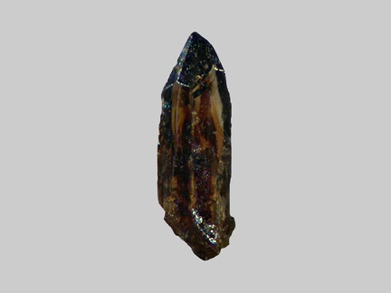 Cassitérite - Le Sioulot - Olby - Puy-de-Dôme - FP