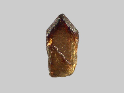 Enstatite-Ferrosilite (Série) - La Loire - Gien - Loiret - FP - Taille 0,7mm