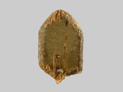 Enstatite-Ferrosilite (Série) - Ruisseau de Chevalard - Vernines - Puy-de-Dôme - FP - Taille 1mm