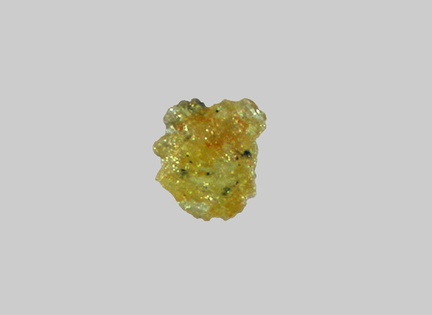 Epidote - Plage de la Pointe du Bile - Penestin - Morbihan - FP -  Taille 0,3mm