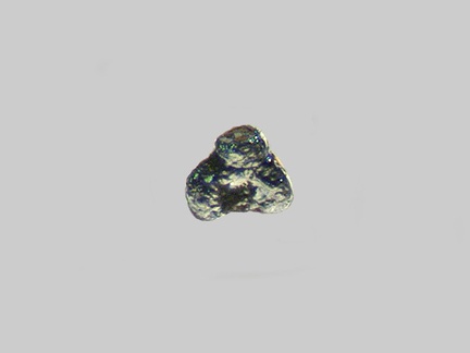 Galène - Gave d' Azun - Argelès-Gazost - Hautes-Pyrénées - FP -Taille 0,25mm