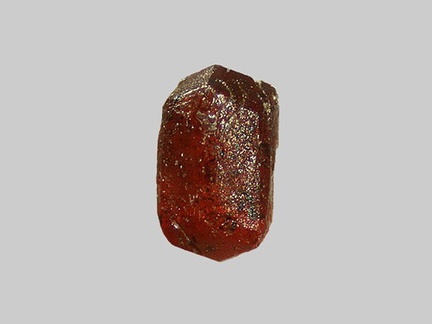 Grenat - La Mortagne - La Guinguette - Tauves - Puy-de-Dôme - FP - Taille 1,2mm