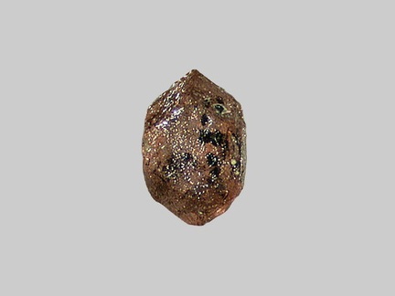 Grenat - Le Liziec - Sulniac - Questembert - Morbihan - FP - Taille 0,9mm