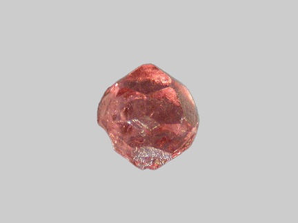 Grenat - Riou Pezzouliou - Espaly-Saint-Marcel - Haute-Loire - FP - Taille 0,7mm