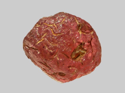 Grenat - Ruisseau de Bouchassou - Ribeyre - Saint-Ilpize - Haute-Loire - FP  - Taille 2,2mm