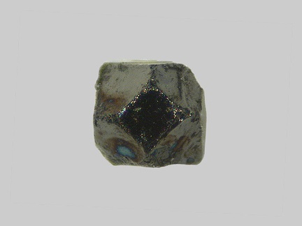 Hématite - Ruisseau de la Plane - le Barry - Rochefort-Montagne - Puy-de-Dôme - FP - Taille 0,5mm