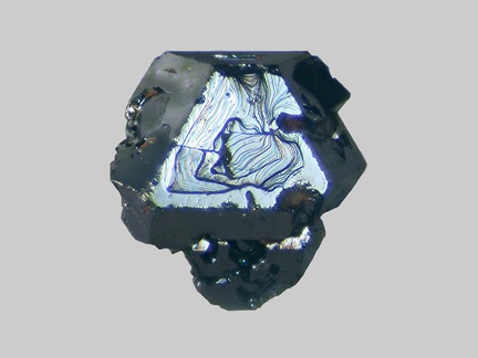 Hématite - Ruisseau de Neuffonds - Besse-en-Chandesse - Puy-de-Dôme - FP - Taille 1mm
