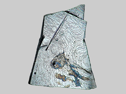 Hématite - Ruisseau de Neuffonds - Besse-en-Chandesse - Puy-de-Dôme - FP - Taille 2mm