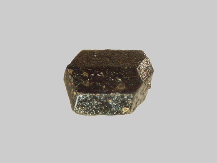 Hornblende - La Monne - Les Arnats - Le Vernet-Sainte-Marguerite - Puy-de-Dôme - FP - Taille 1,5mm