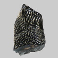 Hornblende déstabilisée - Ruisseau de Neuffonds - Besse-en-Chandesse - Puy-de-Dôme - FP - Taille 2,5mm