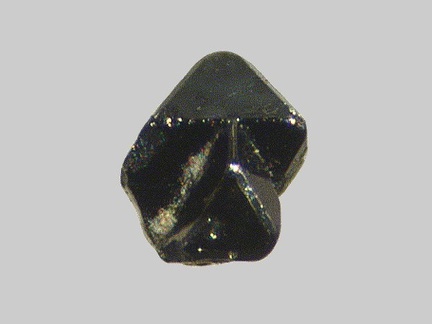 Magnétite - Ruisseau de Chareire - Picherande - Puy-de-Dôme - FP - Taille 0,5mm