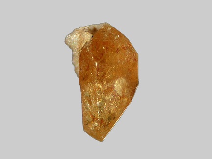 Monazite - Etang de la Gasne - Sainte-Feyre - Creuse - FP - Taille 0,7mm