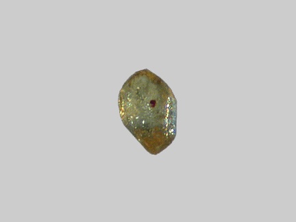 Monazite - La Loire - Gien - Loiret - FP - Taille 0,25mm