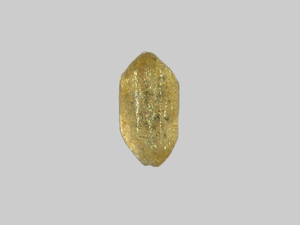 Monazite - Plage de Ruscumunoc - Plouarzel - Finistère - FP - Taille 0,4mm