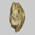 Olivine - Plage de la Roussellerie - Saint-Michel-Chef-Chef - Loire-Atlantique - FP - Taille 1mm
