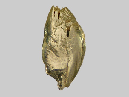 Olivine - Plage de la Roussellerie - Saint-Michel-Chef-Chef - Loire-Atlantique - FP - Taille 1mm