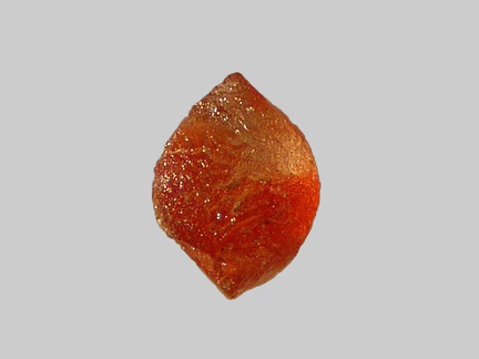 Olivine - Ruisseau de Cizières - Saint-Eble - Haute-Loire - FP - Taille 0,7mm