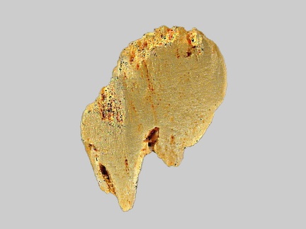Olivine - Ruisseau de Malvoissière - Saint-Victor-la-Rivière - Puy-de-Dôme - FP - Taille 1,2mm