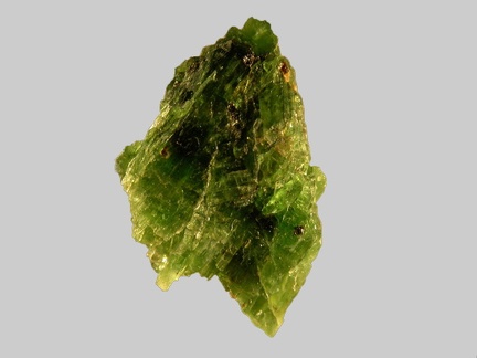 Pargasite - Rubis - Bois d Antou - Saint-Ilpize - Haute-Loire - FP - Taille 20x8x6mm