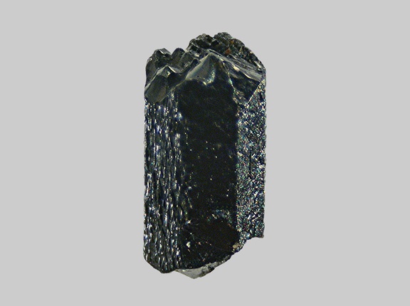 Pyroxène - La Cère - Thiézac - Vic-sur-Cère - Cantal - FP -Taille 2,1mm