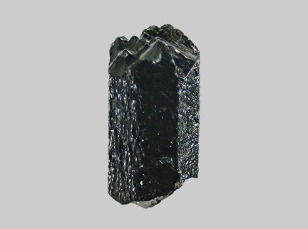 Pyroxène - La Cère - Thiézac - Vic-sur-Cère - Cantal - FP -Taille 2,1mm