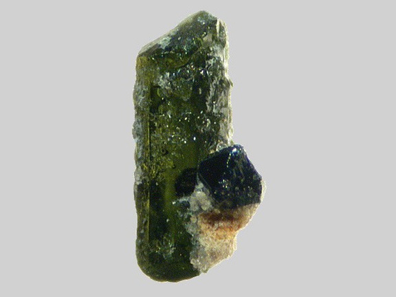 Pyroxène - Magnétite - Ruisseau de Chareire - Picherande - Puy-de-Dôme - FP - Taille 1mm