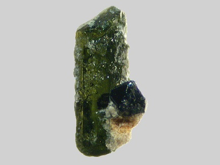 Pyroxène - Magnétite - Ruisseau de Chareire - Picherande - Puy-de-Dôme - FP - Taille 1mm